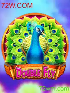 Explorando o Universo de DoubleFly: Conheça o Jogo e suas Regras